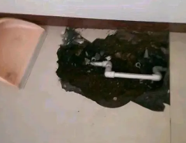 磐安卫生间测漏水多少钱